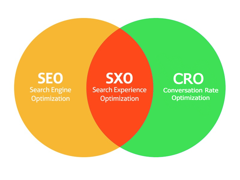 Search Experience Optimization